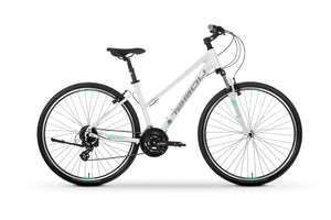 17 / White / Mint